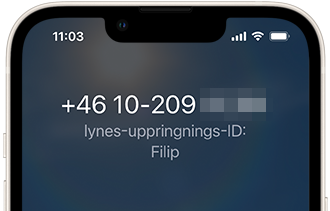 CallerID 2.png