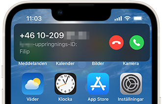 CallerID (1).jpg